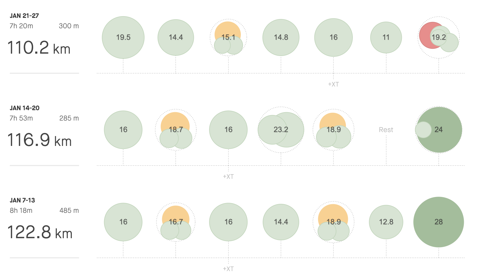 Training Progress